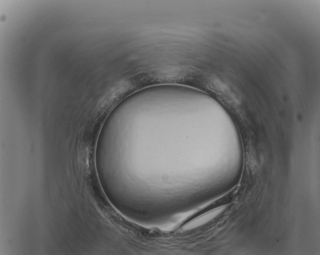 X0000067000115200603311624