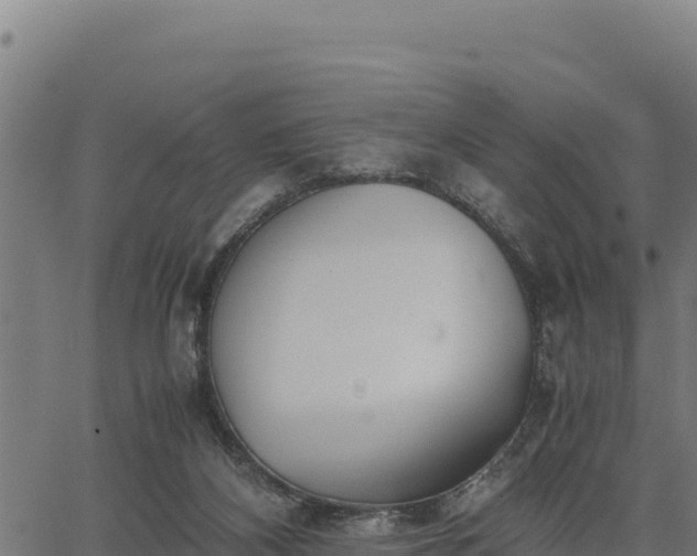 X0000067000116200603311624