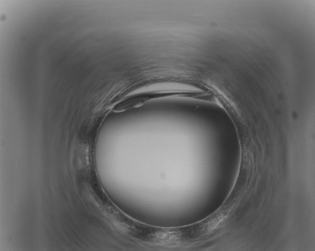 X0000067000117200603311624