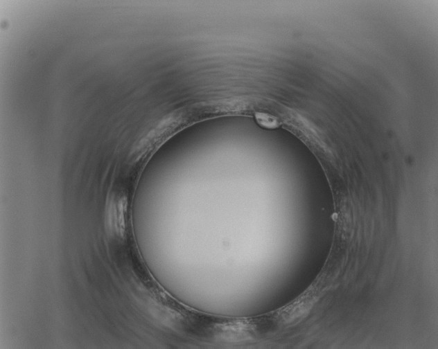 X0000067000118200603311624