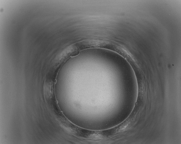 X0000067000119200603311624