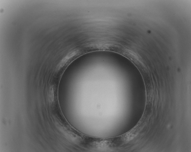 X0000067000120200603311624