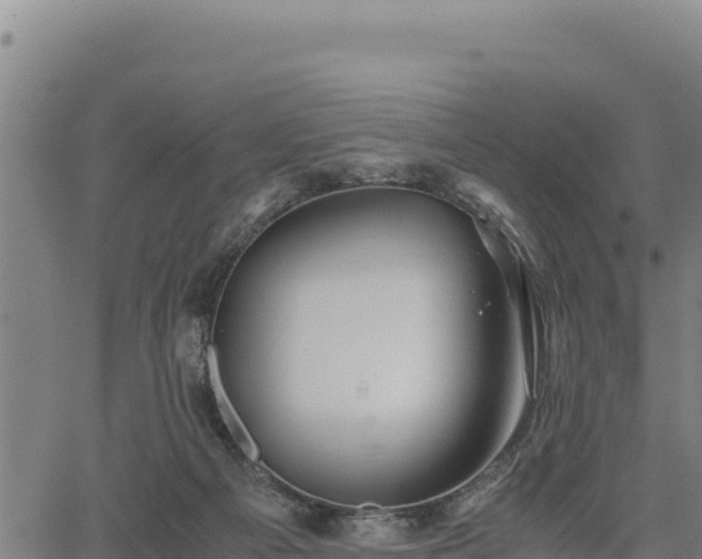 X0000067000121200603311624