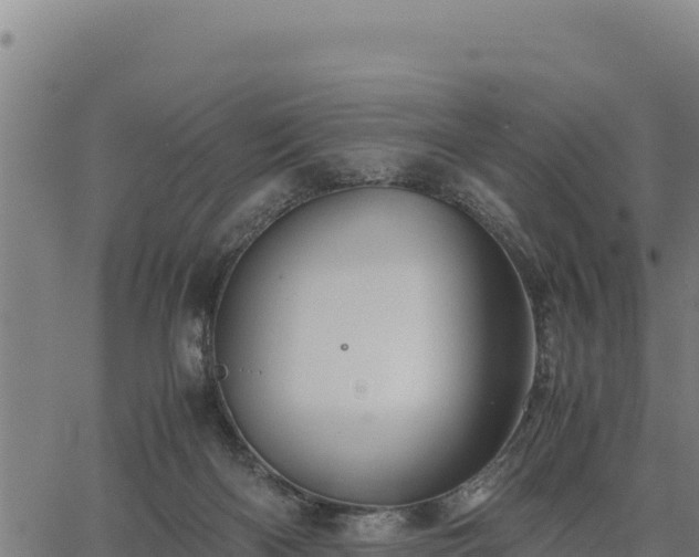 X0000067000122200603311624