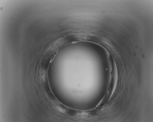 X0000067000125200603311624