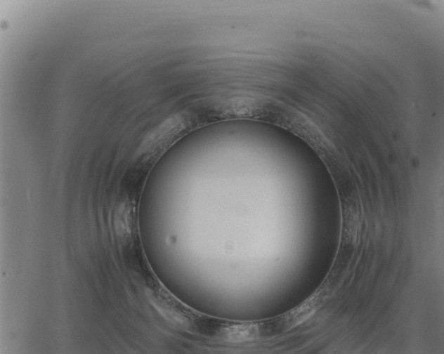 X0000067000126200603311624