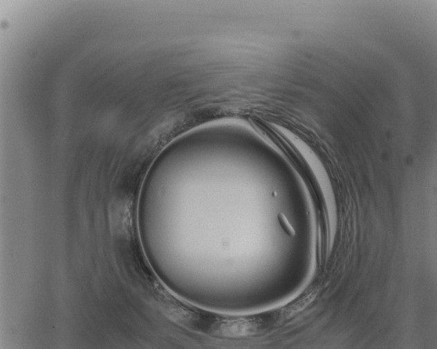 X0000067000127200603311624