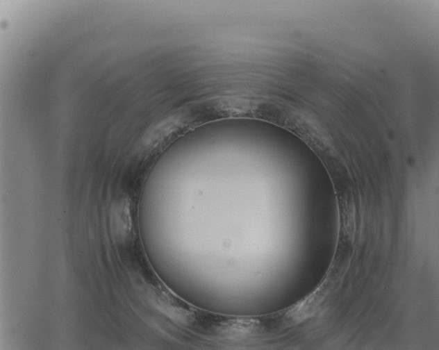 X0000067000128200603311624