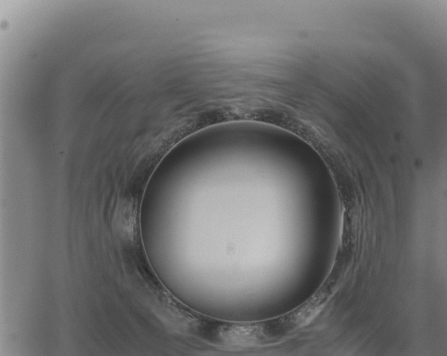 X0000067000129200603311624