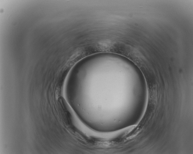 X0000067000131200603311624