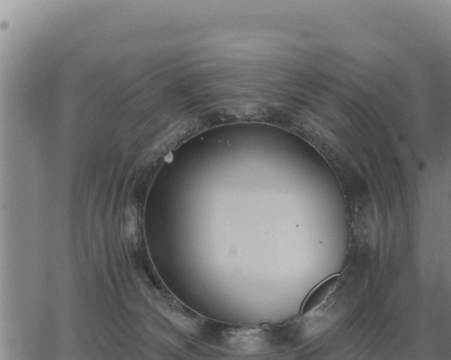 X0000067000132200603311624