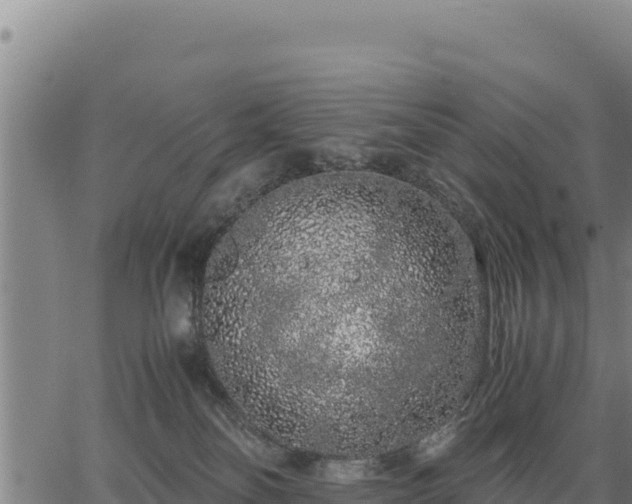 X0000067000134200603311624