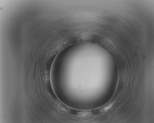 X0000067000135200603311624