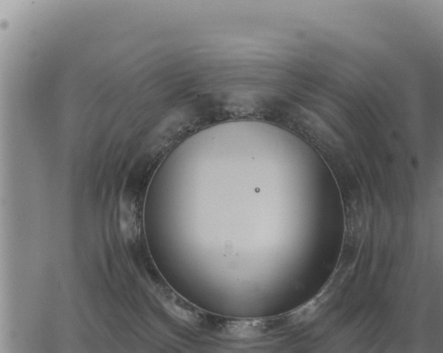 X0000067000136200603311624