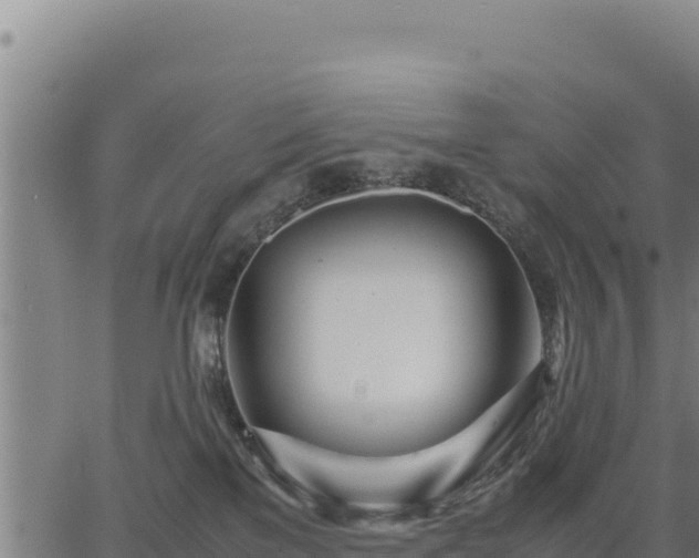 X0000067000137200603311624