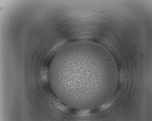 X0000067000138200603311624