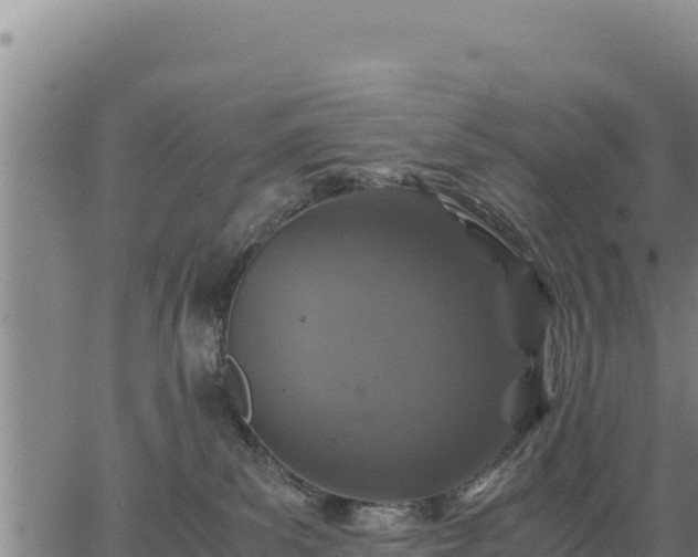 X0000067000139200603311624