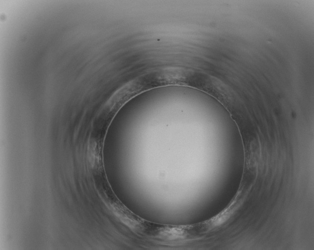 X0000067000140200603311624