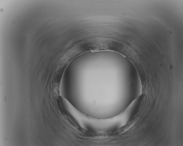 X0000067000141200603311624