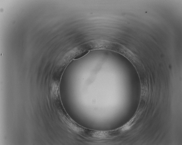 X0000067000142200603311624