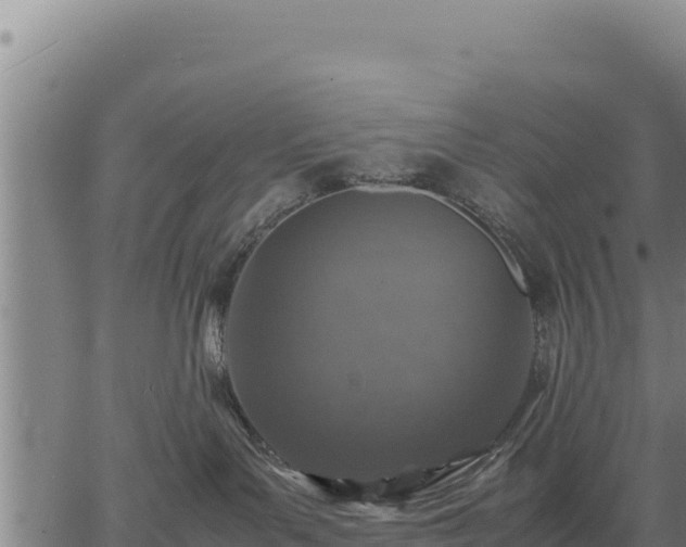 X0000067000143200603311624