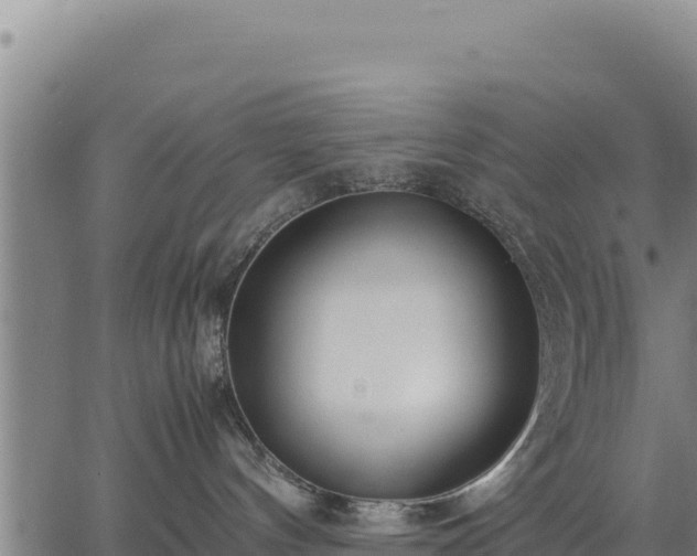 X0000067000144200603311624