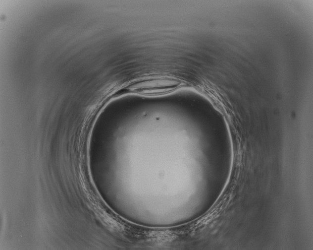 X0000067000145200603311623