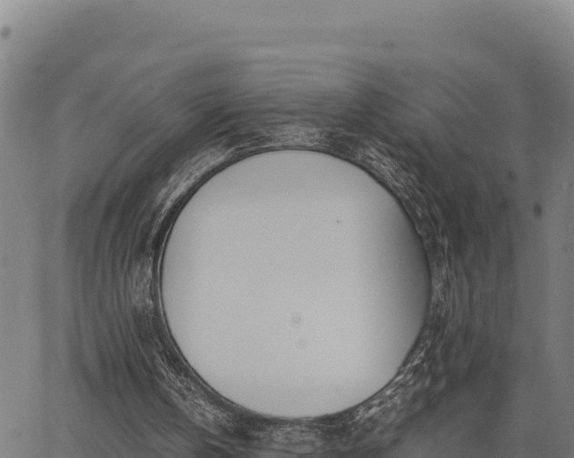 X0000067000146200603311623