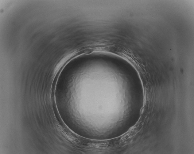 X0000067000147200603311623