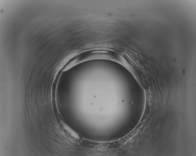 X0000067000148200603311623