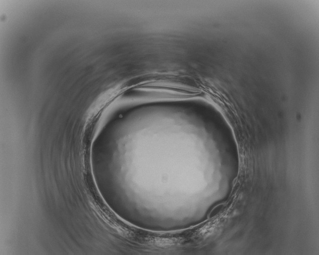 X0000067000149200603311623