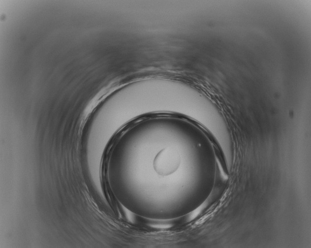 X0000067000150200603311623