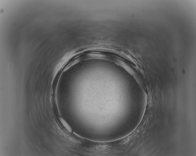 X0000067000152200603311623