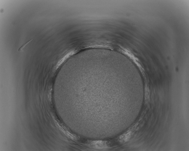 X0000067000153200603311623