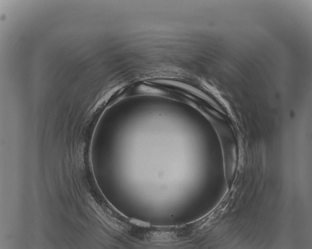 X0000067000154200603311623