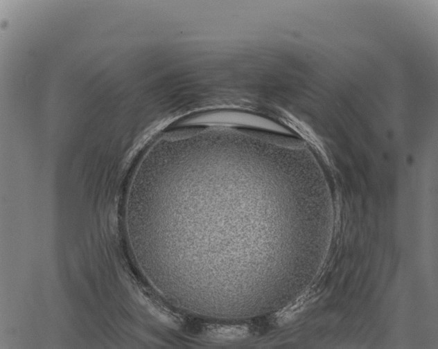 X0000067000155200603311623