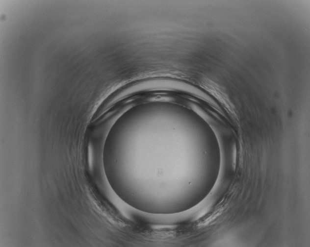 X0000067000156200603311623