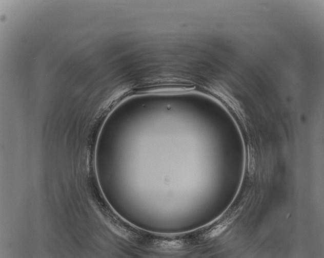 X0000067000157200603311623