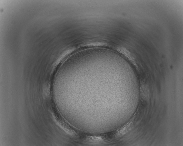 X0000067000159200603311623