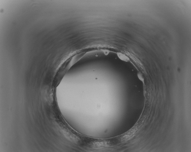 X0000067000160200603311623