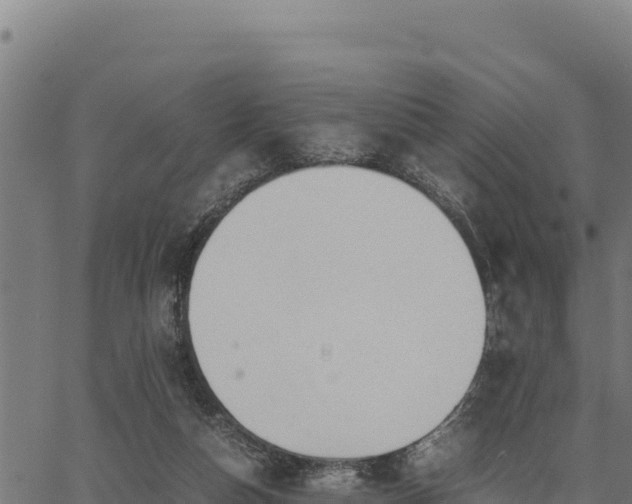 X0000067000162200603311623