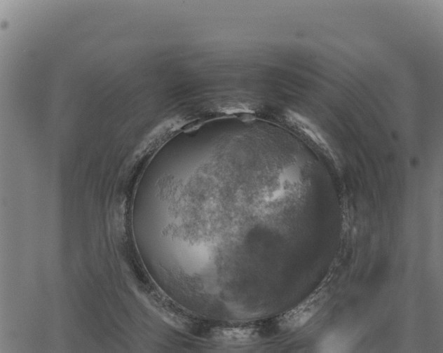 X0000067000163200603311623