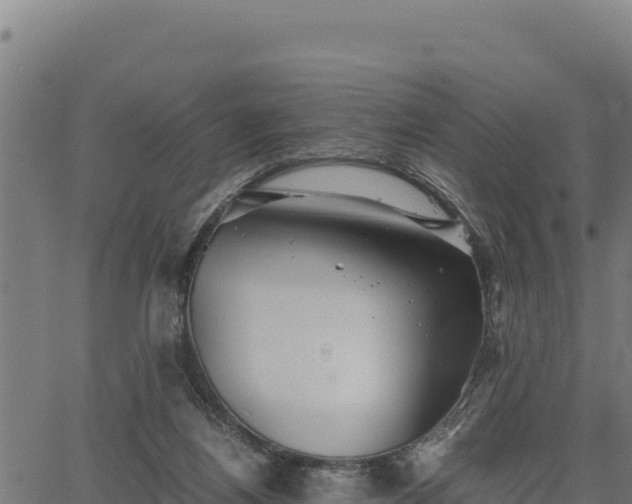 X0000067000164200603311623