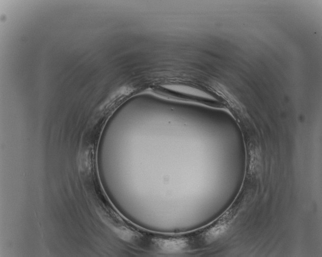 X0000067000165200603311623