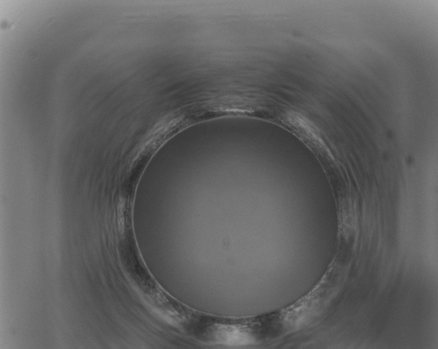 X0000067000167200603311623