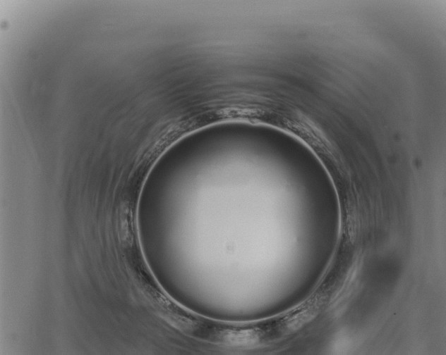 X0000067000169200603311623