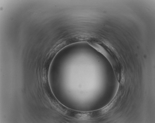 X0000067000170200603311623