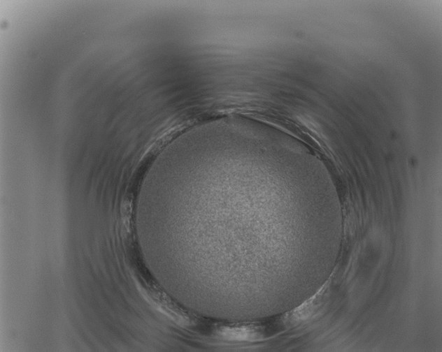 X0000067000171200603311623