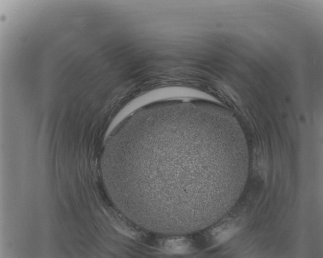 X0000067000173200603311623