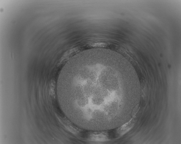 X0000067000175200603311623